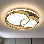 Luxury elegant living room interior simple ceiling light