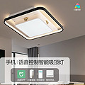 Xiao Ai students high-end atmosphere living room light luxury ceiling lamp