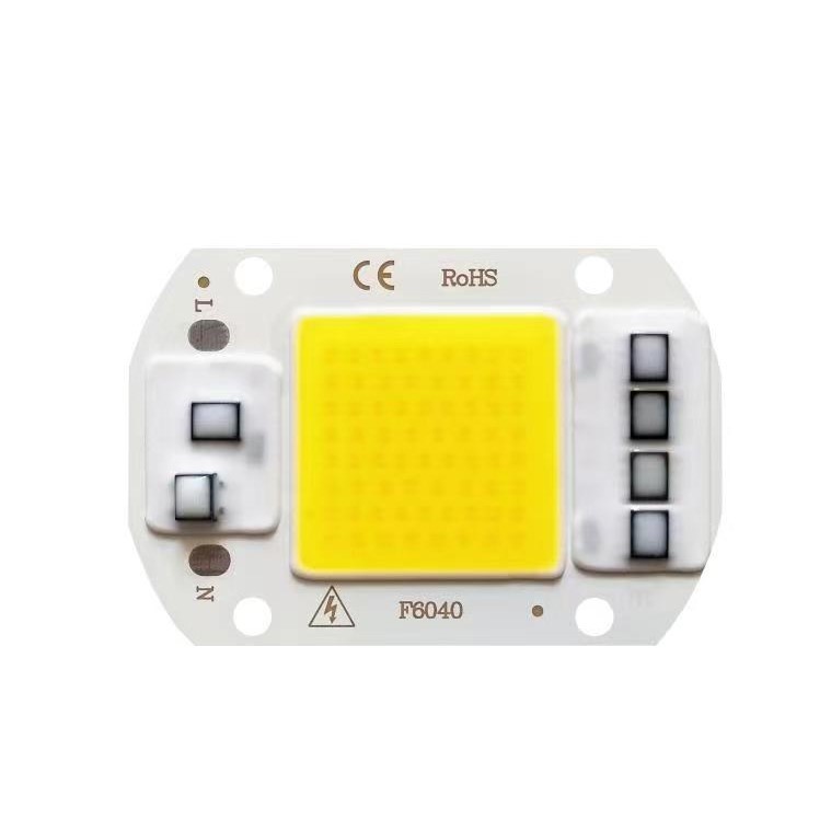 F6040-220VLED module