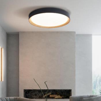 Intelligent voice poleless dimming Fontainebleau series ceiling light
