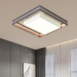 Guan LAN series Nordic fashion beautiful exquisite ceiling light