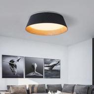 High transparent acrylic exquisite Windsor series simple ceiling light