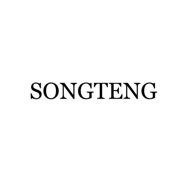 Zhongshan Songteng Electric Co.,Ltd.