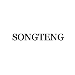 Zhongshan Songteng Electric Co.,Ltd.