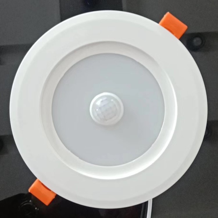 Staircase Hallway Sensor Light Downlight