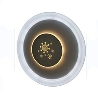 Lei Xiang Snowflake series modern simple ceiling light