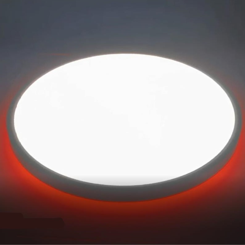 Orchid Bird full spectrum simple eye protection ceiling light