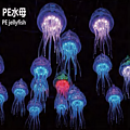 PE jellyfish-shaped decorative light