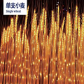 Golden wheat decorative landscape lamp