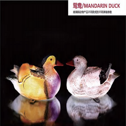 Mandarin duck decorative light