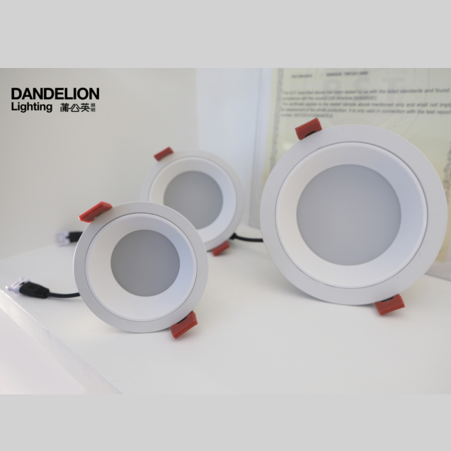 Embedded durable LED spotlight