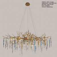 C2521Rain curtain chandelier