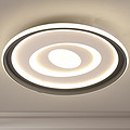 928Phantom Series Oval Ceiling Lamp