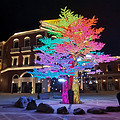 Outdoor Colored Tree Landscape Lighting Sketch