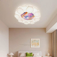 Cosmic Starry Sky Wave Flower Ceiling Lamp