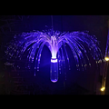 LED Fantasy Fiber Optic Decorative Landscape Lamp