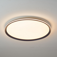 Observe the moon segment luminous multi-size modern minimalist ceiling lamp