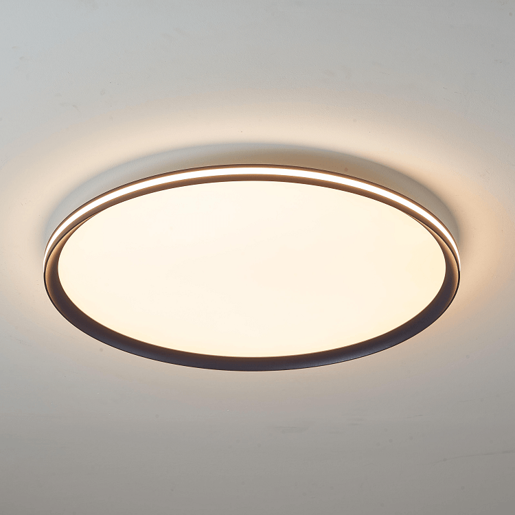 Observe the moon segment luminous multi-size modern minimalist ceiling lamp