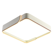 Magnolia intelligent diffuse light elegant minimalist ceiling lamp