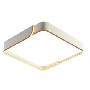 Magnolia intelligent diffuse light elegant minimalist ceiling lamp