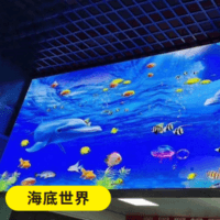 Underwater world soft film HD custom light-transmitting film