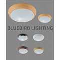 Ceiling lampBL8005，Energy saving，Long liff，Low failure，Protect eyes