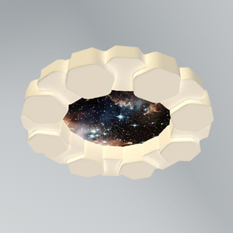 Minimalist Series - Flower Star Bedroom Ceiling Light