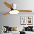 Three color variable frequency high-efficiency energy-saving ceiling fan light