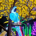 Parrot-shaped landscape lamp