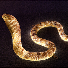 Snake animal-shaped landscape lamp