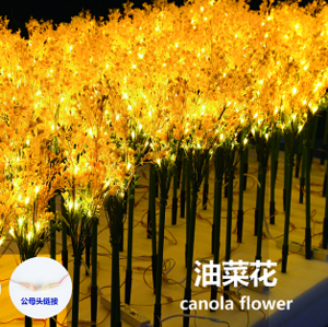 Canola inserted golden park lawn landscape light