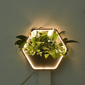 Hotel B&B wall sconce with hexagonal potted plants outdoor wall lamp