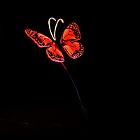 Outdoor bright 80cm butterfly landscape light