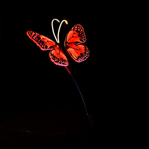 Outdoor bright 80cm butterfly landscape light