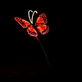 Outdoor bright 80cm butterfly landscape light