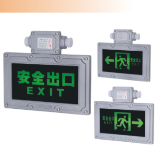 Ceiling mounted dual choice explosion-proof safety emergency light