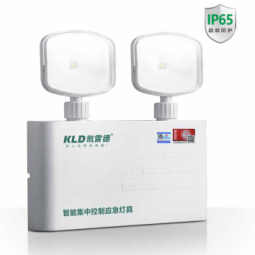 IP65 ultra high protection emergency waterproof double emergency light